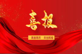 九洲集團上榜2024中國企業(yè)500強名單！