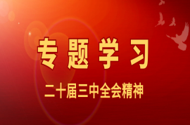 科瑞黨建｜三中全會《決定》提出的“六個堅持”是指什么？