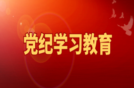 科瑞黨建 | 聽總書記談黨的紀(jì)律建設(shè)（二）